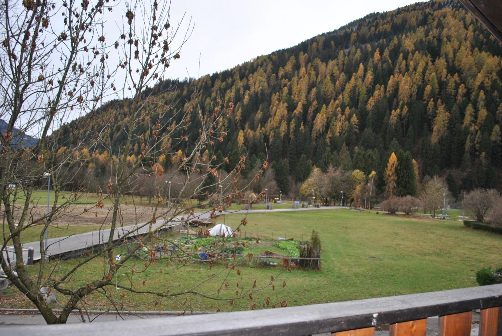 La Pineta - In *